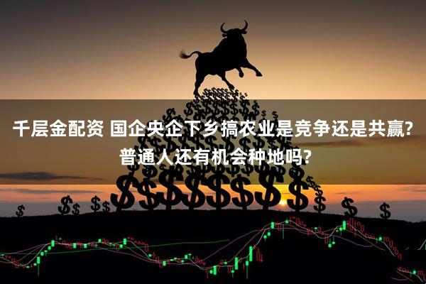千层金配资 国企央企下乡搞农业是竞争还是共赢? 普通人还有机会种地吗?