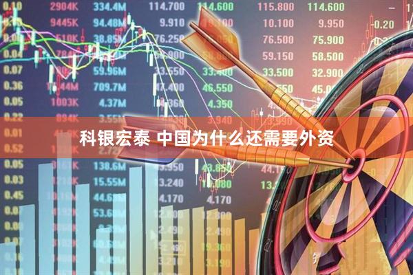 科银宏泰 中国为什么还需要外资