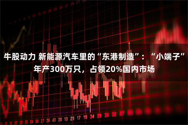 牛股动力 新能源汽车里的“东港制造”：“小端子”年产300万只，占领20%国内市场