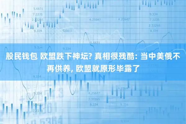 股民钱包 欧盟跌下神坛? 真相很残酷: 当中美俄不再供养, 欧盟就原形毕露了