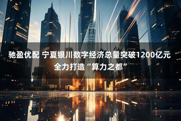 驰盈优配 宁夏银川数字经济总量突破1200亿元 全力打造“算力之都”